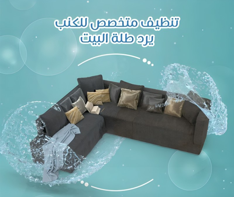 Sofa cleaning